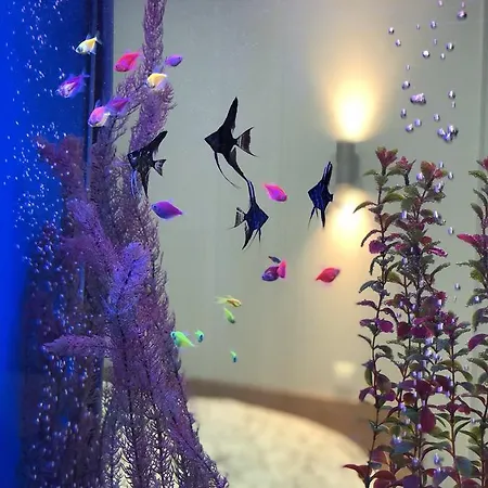 Apartment Lux Ruska *