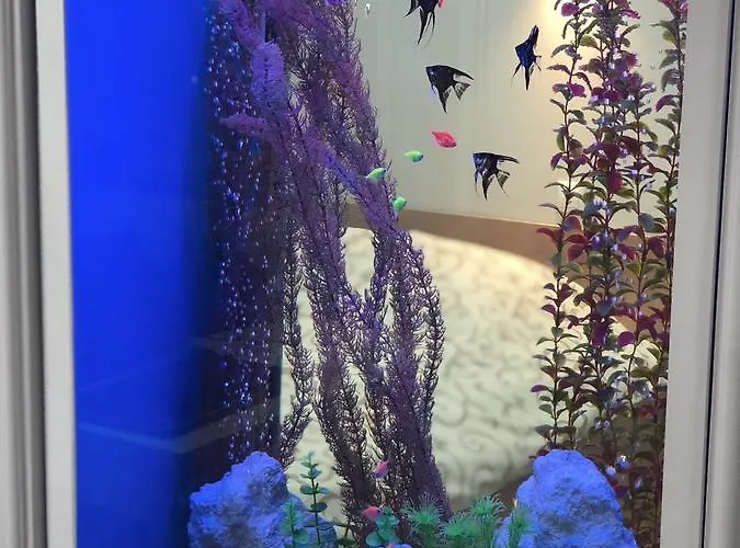 דירה Lux Ruska *