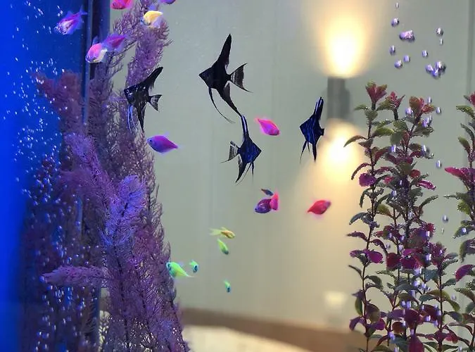 דירה Lux Ruska *