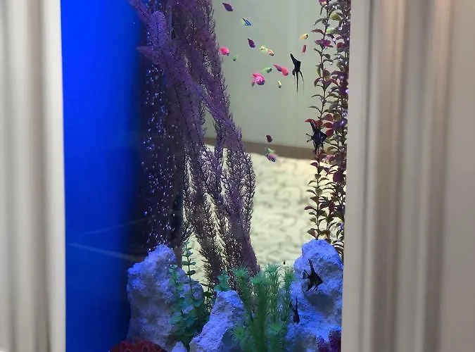 Lux Ruska Apartamento Lviv