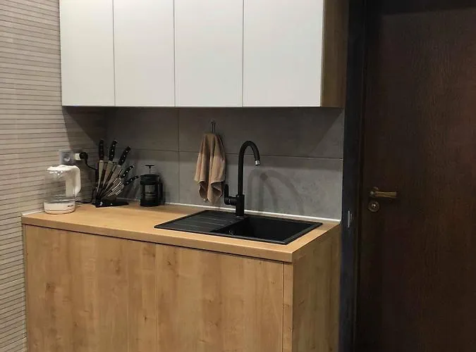 Lux Ruska Apartment Lviv